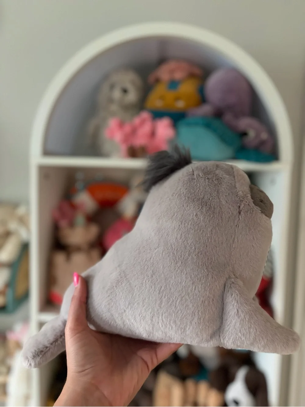 Jellycat Roarwell Sea Lion - Authentic & BNWT